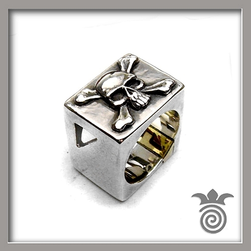 Bague cube creation crane pirate argent 925 et bronze